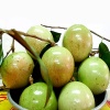 Vú sữa trắng loại 1, tươi ngon, VietGAP